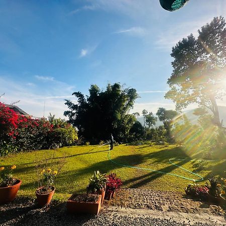 Homeland Forest Villa بوكْرا المظهر الخارجي الصورة