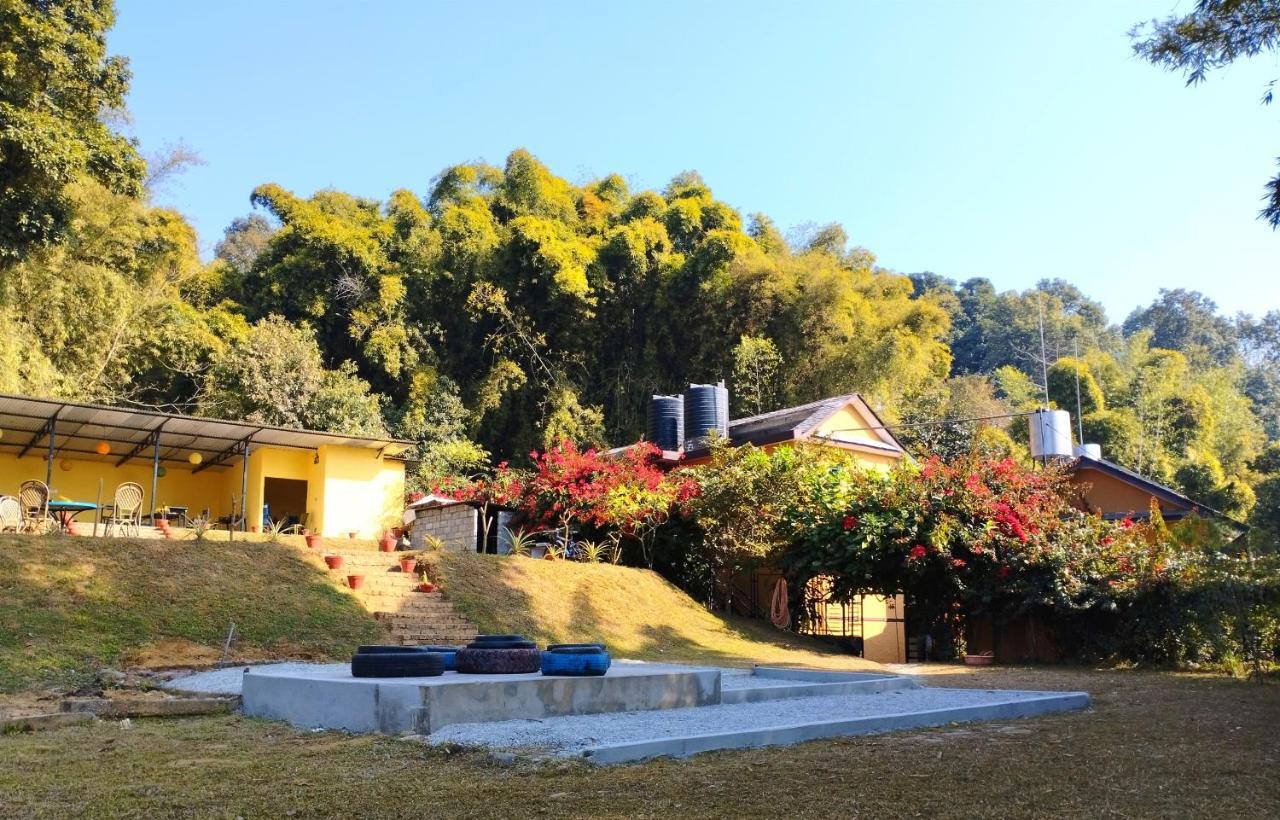 Homeland Forest Villa بوكْرا المظهر الخارجي الصورة