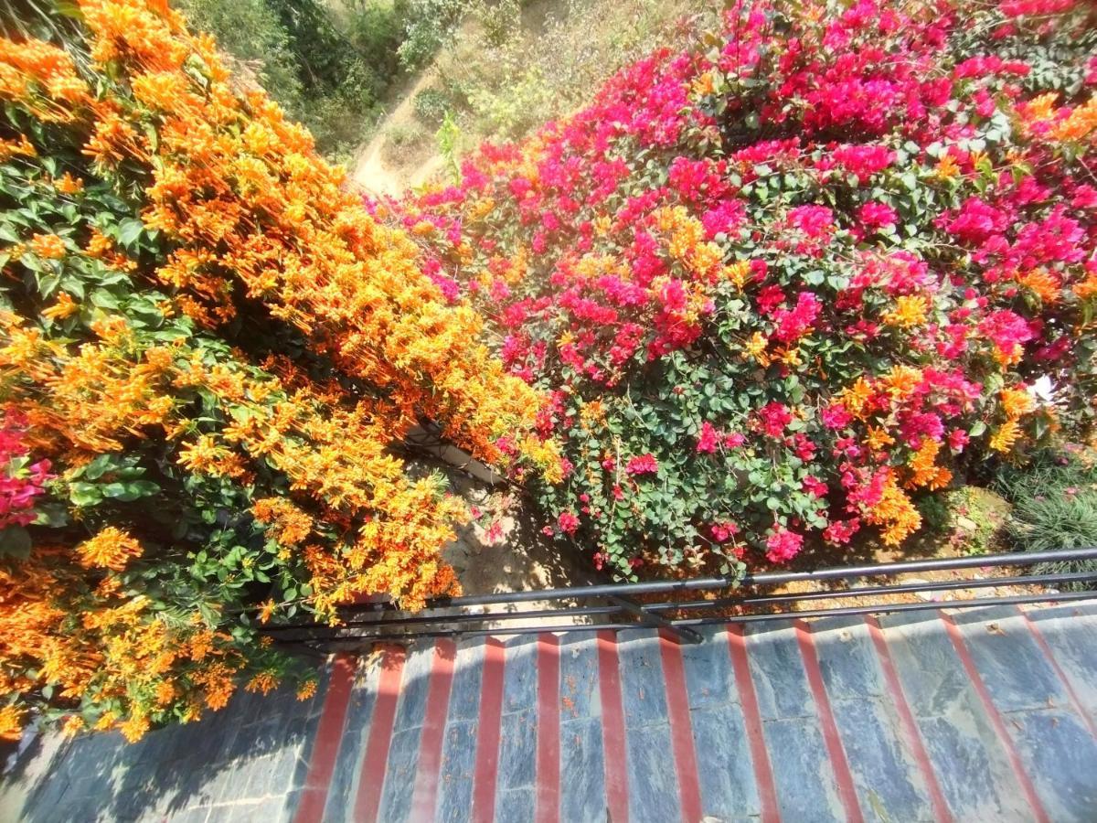 Homeland Forest Villa بوكْرا المظهر الخارجي الصورة