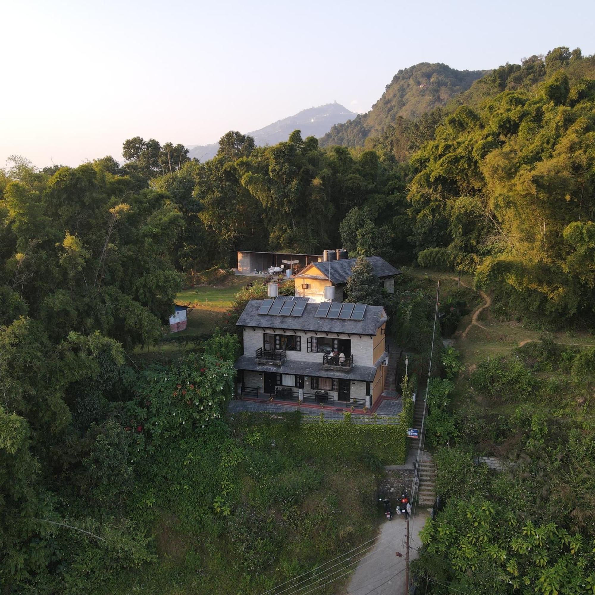Homeland Forest Villa بوكْرا المظهر الخارجي الصورة