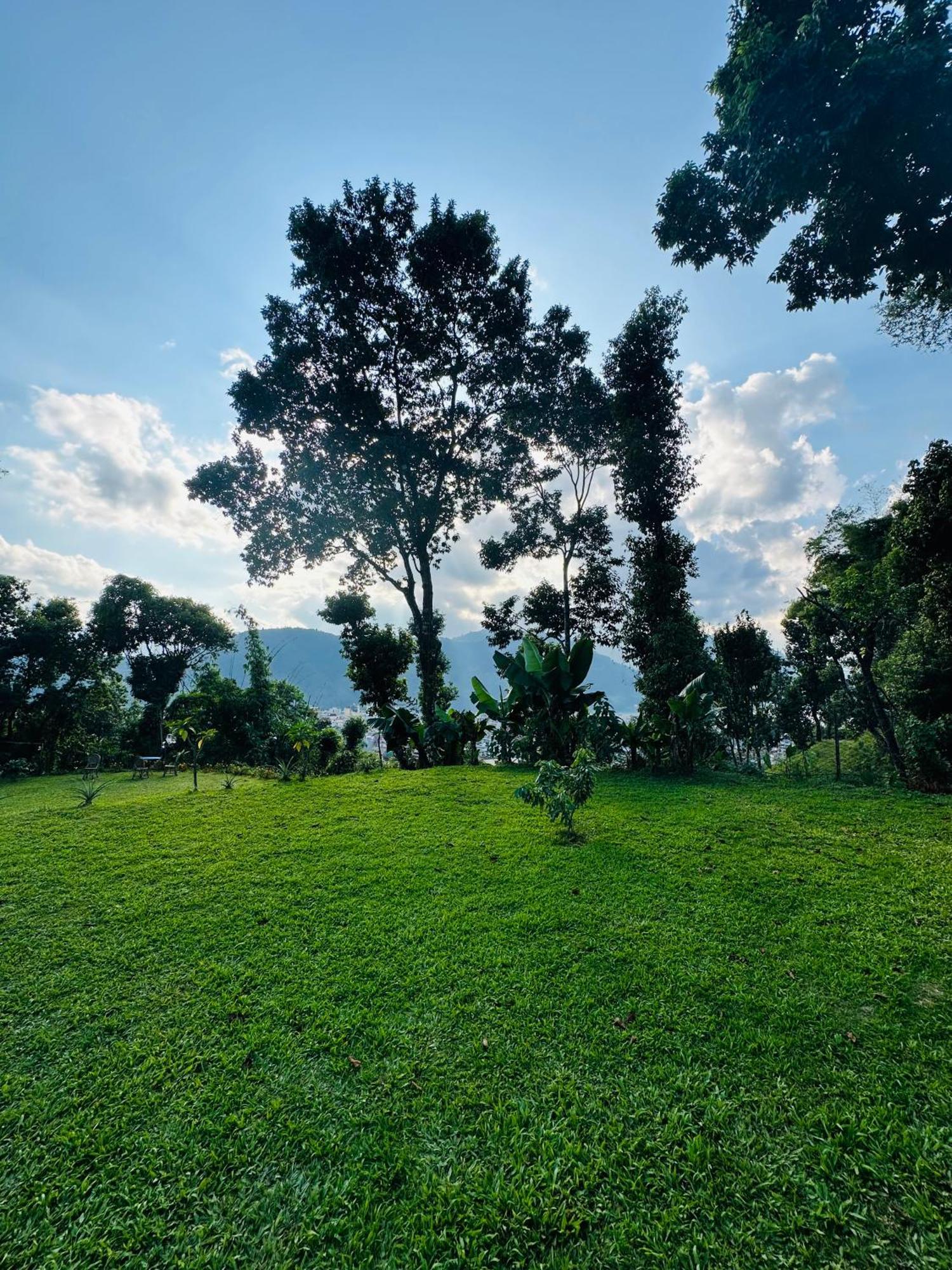 Homeland Forest Villa بوكْرا المظهر الخارجي الصورة