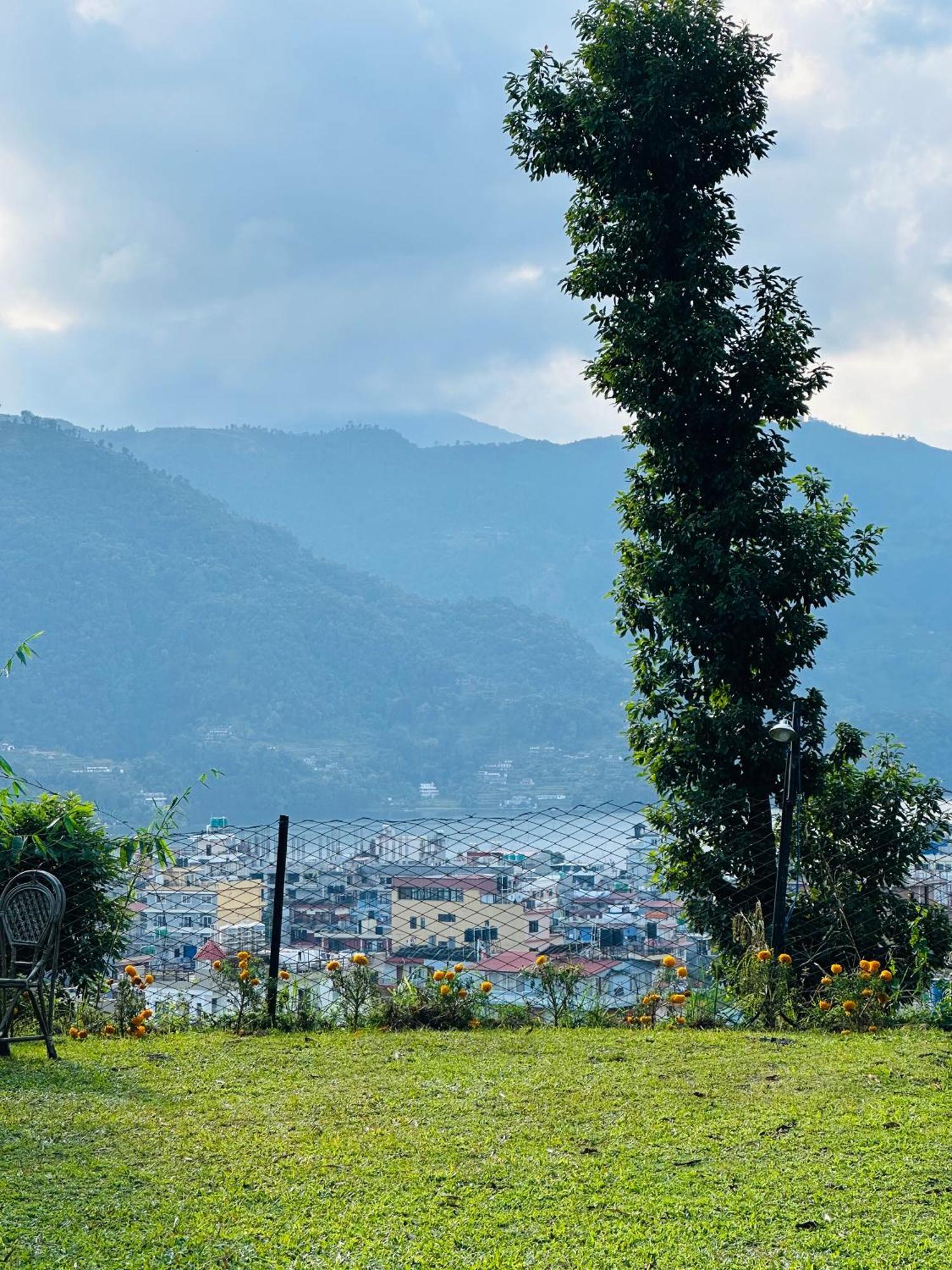 Homeland Forest Villa بوكْرا المظهر الخارجي الصورة
