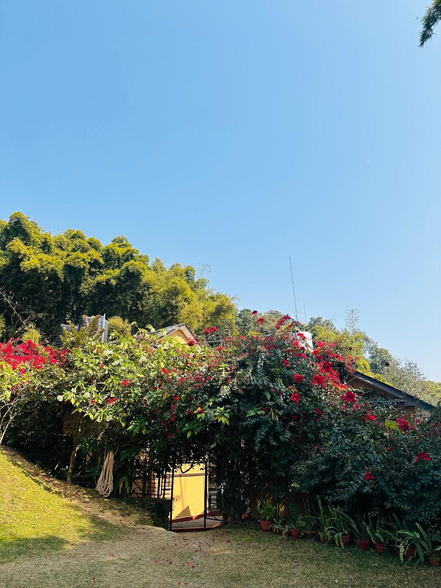 Homeland Forest Villa بوكْرا المظهر الخارجي الصورة