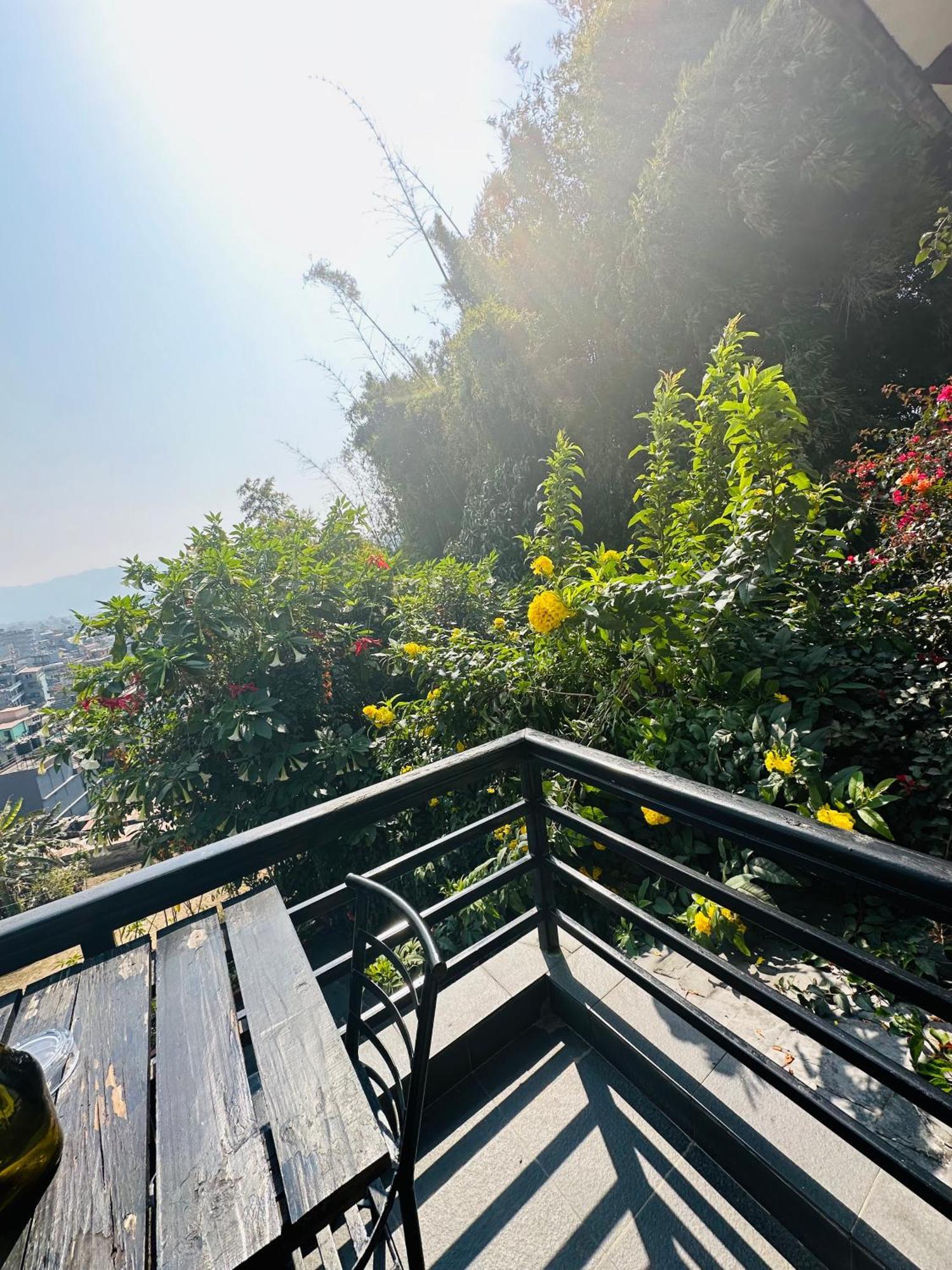 Homeland Forest Villa بوكْرا المظهر الخارجي الصورة