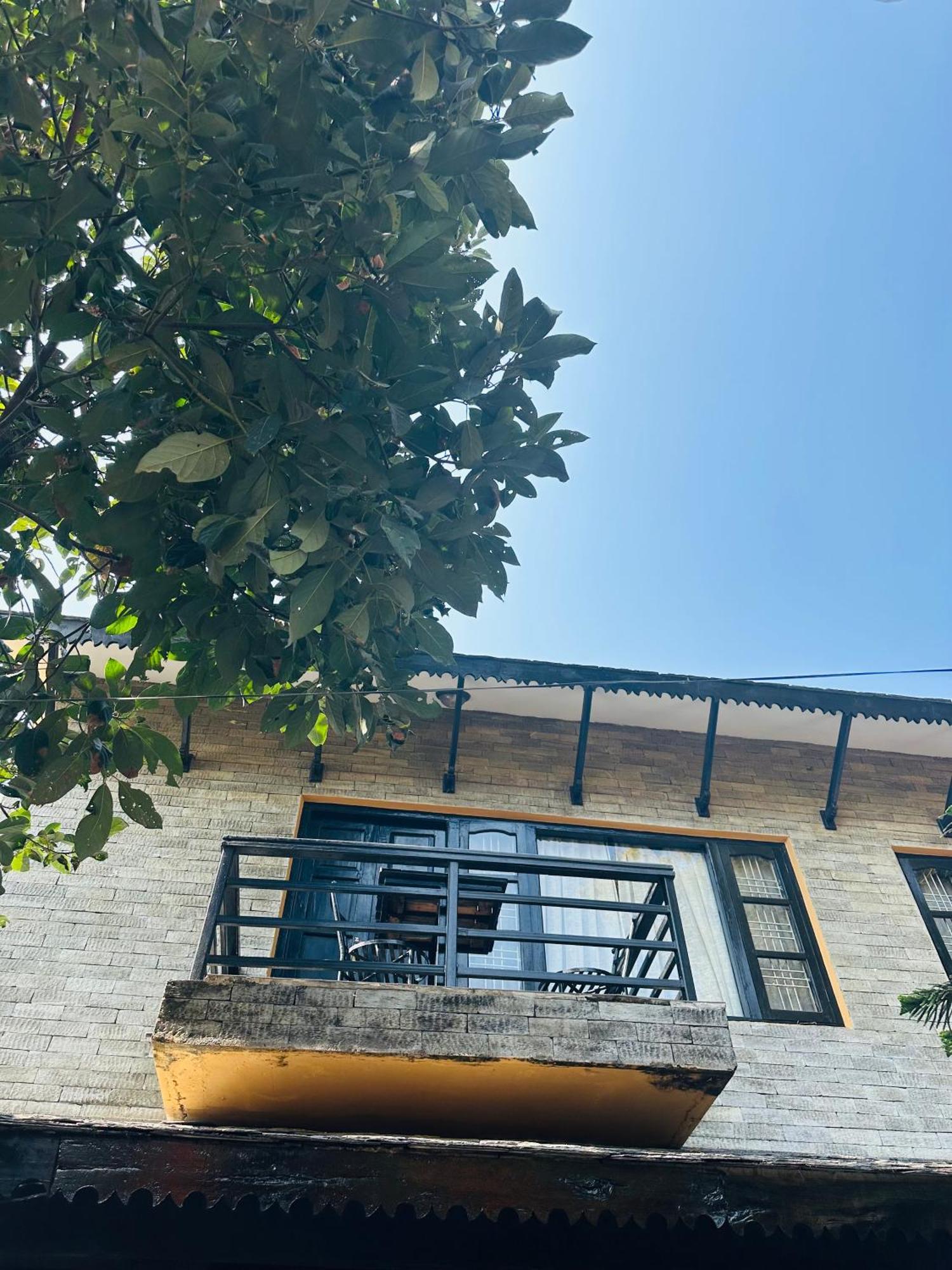 Homeland Forest Villa بوكْرا المظهر الخارجي الصورة