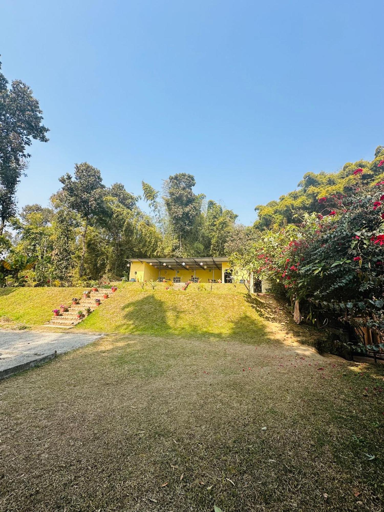 Homeland Forest Villa بوكْرا المظهر الخارجي الصورة
