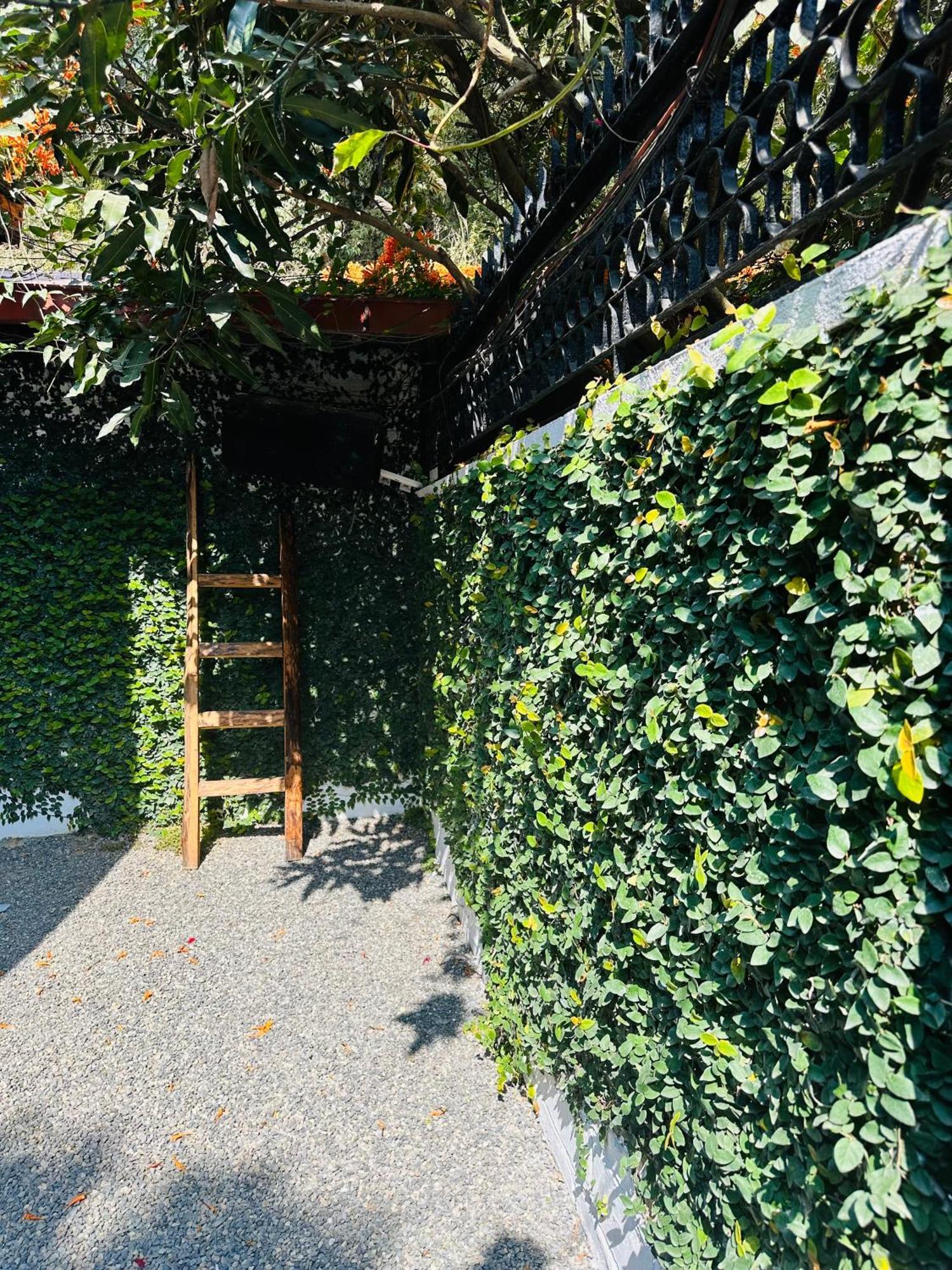 Homeland Forest Villa بوكْرا المظهر الخارجي الصورة