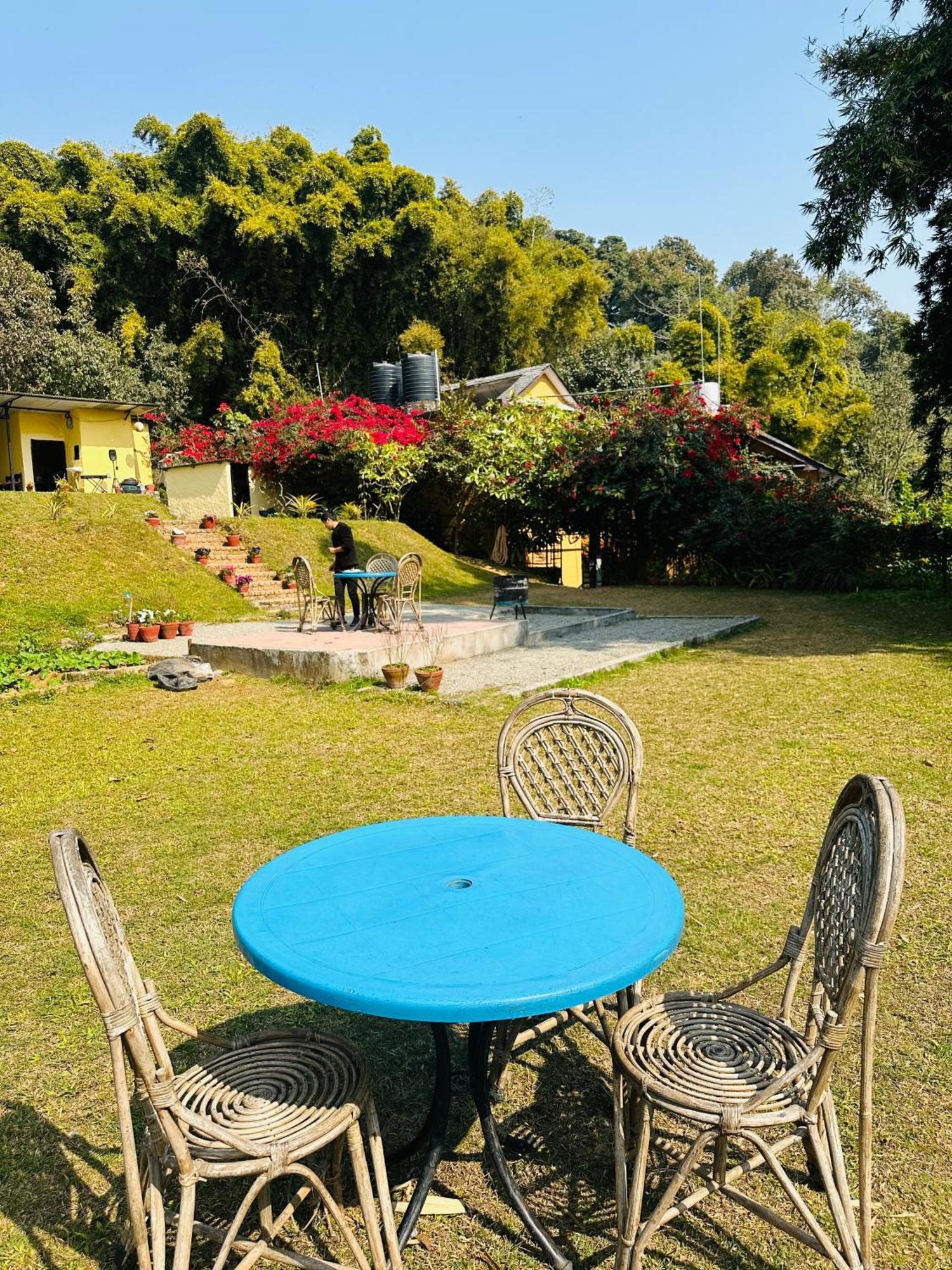 Homeland Forest Villa بوكْرا المظهر الخارجي الصورة