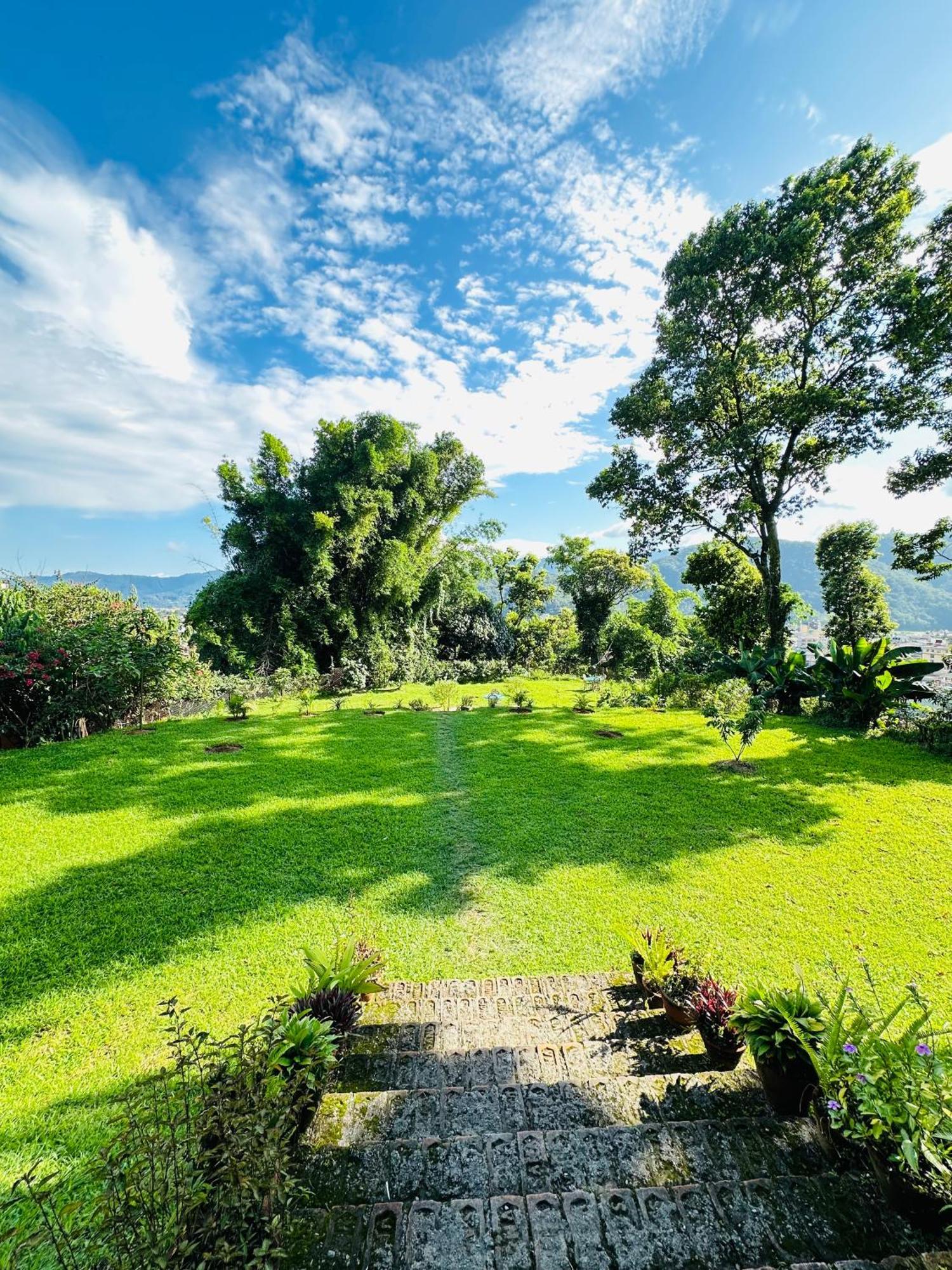 Homeland Forest Villa بوكْرا المظهر الخارجي الصورة