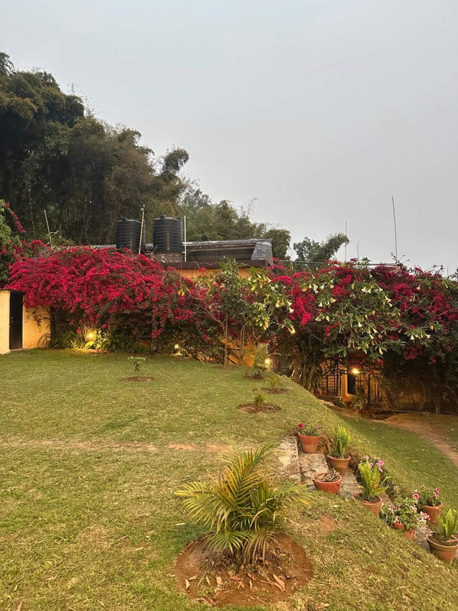 Homeland Forest Villa بوكْرا المظهر الخارجي الصورة